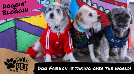 Dog Fashion is Taking Over the World!