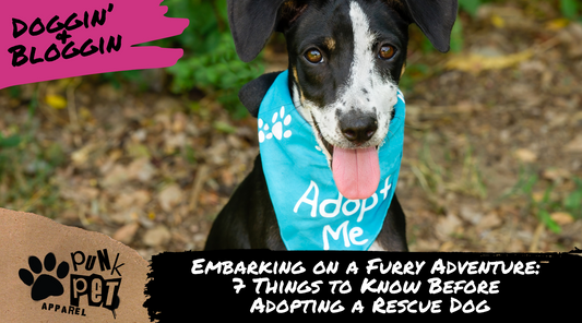 Embarking on a Furry Adventure: 7 Things to Know Before Adopting a Rescue Dog