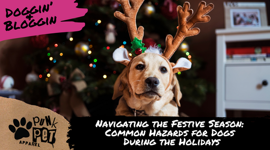 Navigating the Festive Season: 7 Common Hazards for Dogs During the Holidays