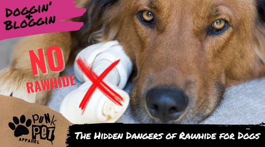 The Hidden Dangers of Rawhide for Dogs