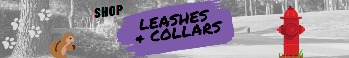 Leashes & Collars Collection