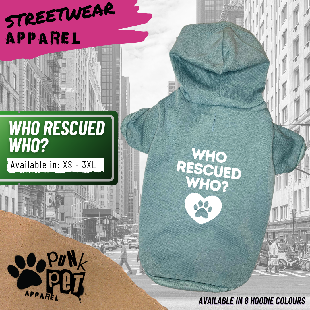Punk Pet Apparel Who Rescued Who? Hoodie Sky Blue